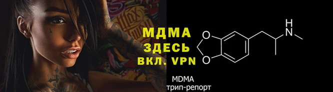 гидра Алексин
