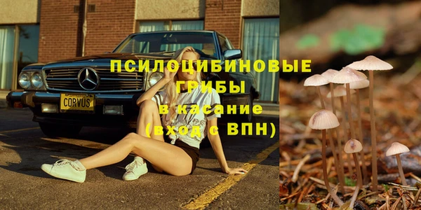 гидра Алексин
