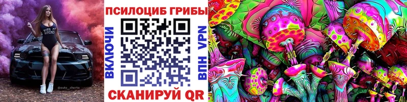 Галлюциногенные грибы прущие грибы  ОМГ ОМГ   Чадан  где можно купить  